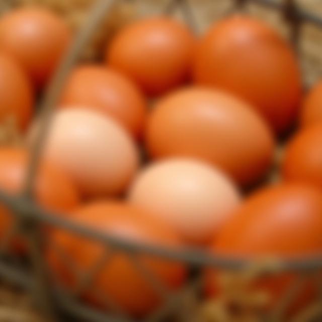 Huevo de Libre Pastoreo Frescura Garantizada